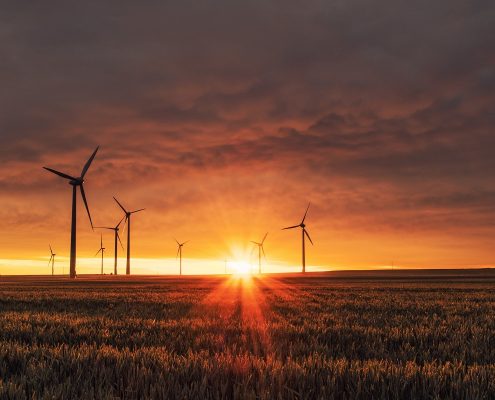 Büro Hitschfeld: Klimaschutz nach G20 in Hamburg