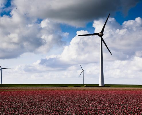 Die Politik sollte sich wieder mehr von einer marktwirtschaftlichen Perpektive den Herausforderungen bei Klimaschutz und Energiepolitik nähern | Büro HItschfeld