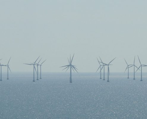 Klimaschutz ganz kleingeschrieben | Büro HItschfeld