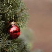 Detailbild: Weihnachtsbaum mit roter Kugel