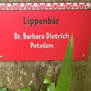 Schild im Leipziger Zoo mit der Aufschrift: Lippenbär Dr. Barbara Dietrich Potsdam