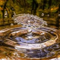 Tropfen fällt auf Wasseroberfläche, in der sich Bäume spiegeln