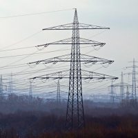Studie zur Auswirkung der Beschleunigung im Netzausbau auf den Umweltschutz