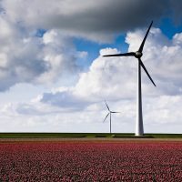 Die Politik sollte sich wieder mehr von einer marktwirtschaftlichen Perpektive den Herausforderungen bei Klimaschutz und Energiepolitik nähern | Büro HItschfeld